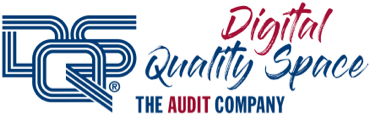 Logo DQS Digital Quality Space 2020